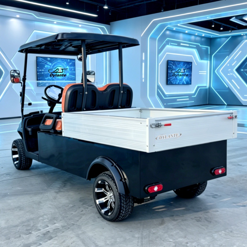 공장 직판 전기 골프 카트 태양광 60V 2인승 5KW - Outdoor Hunting Vehicle 리뷰 및 가격