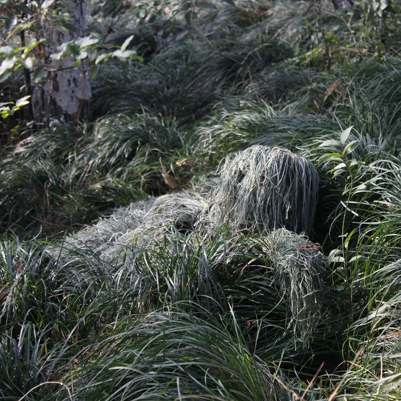 5Pcs 성인 Ghillie 정장 키즈 헌터 위장 의류 - Ghillie Suit Woodland 리뷰 및 가격